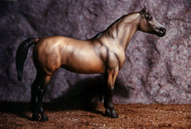 1998/1999 Pony Reserve Champion