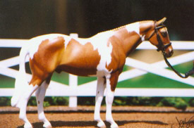 2007 Other Breed Champion