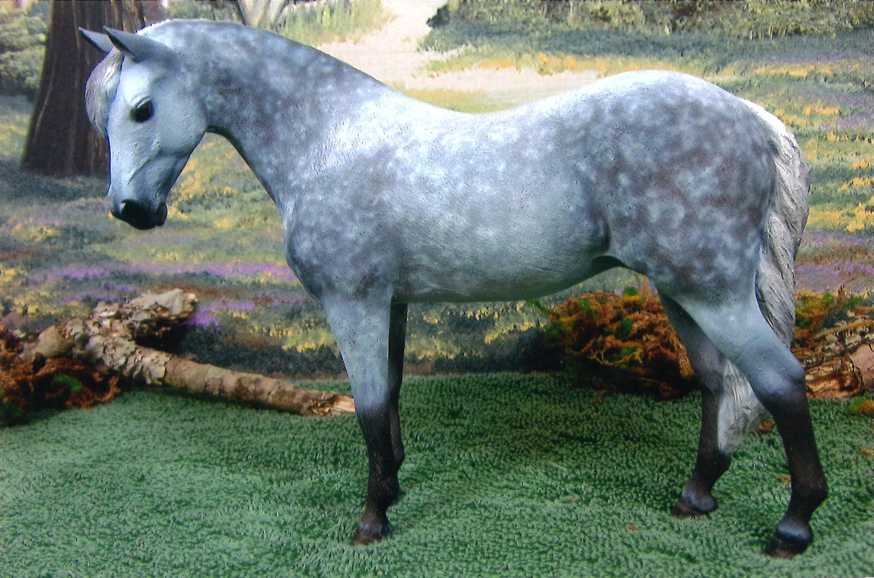2023 MEPSA Pony Breed Reserve Champion