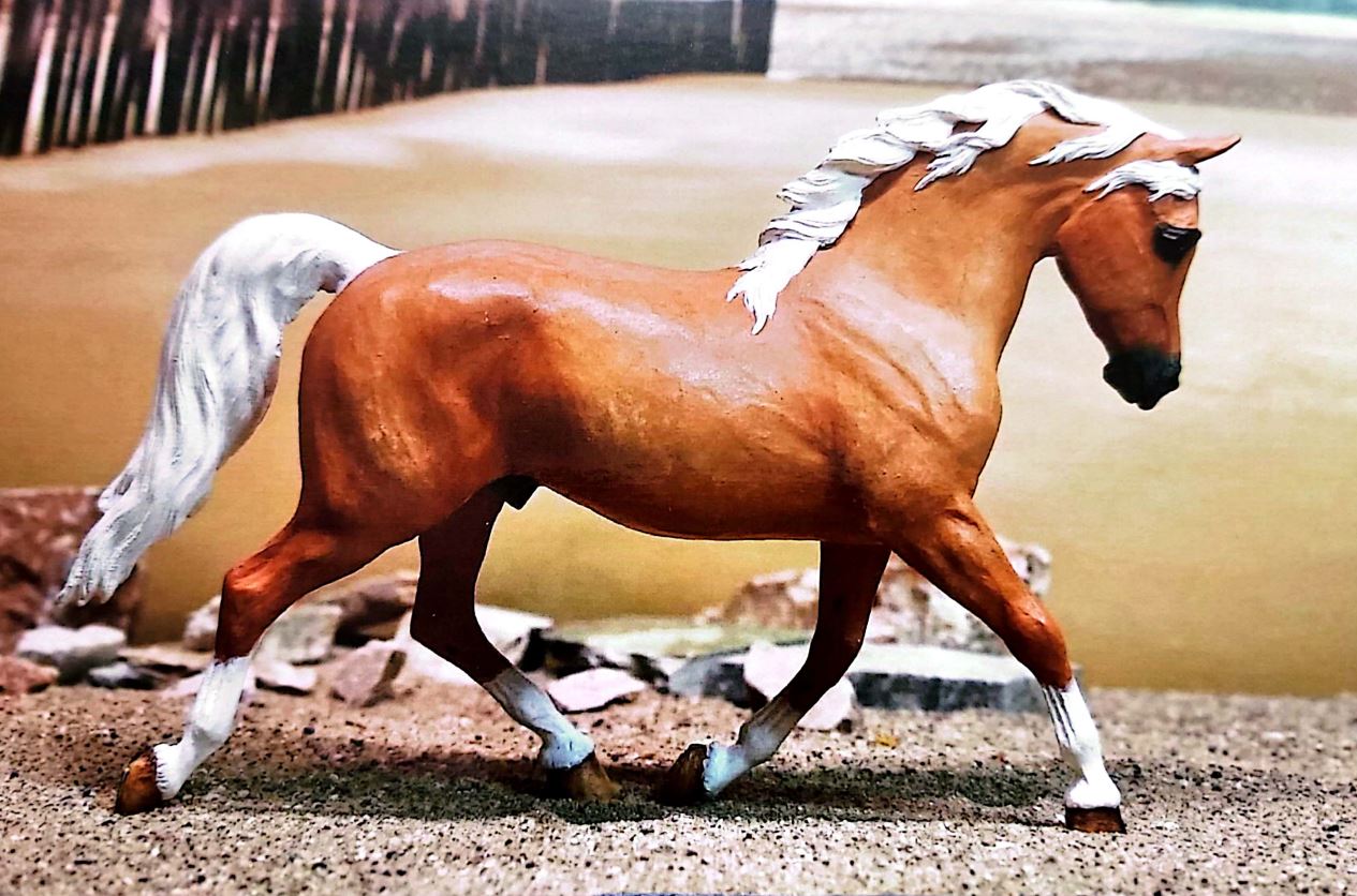 2023 MEPSA Pony Breed  Champion