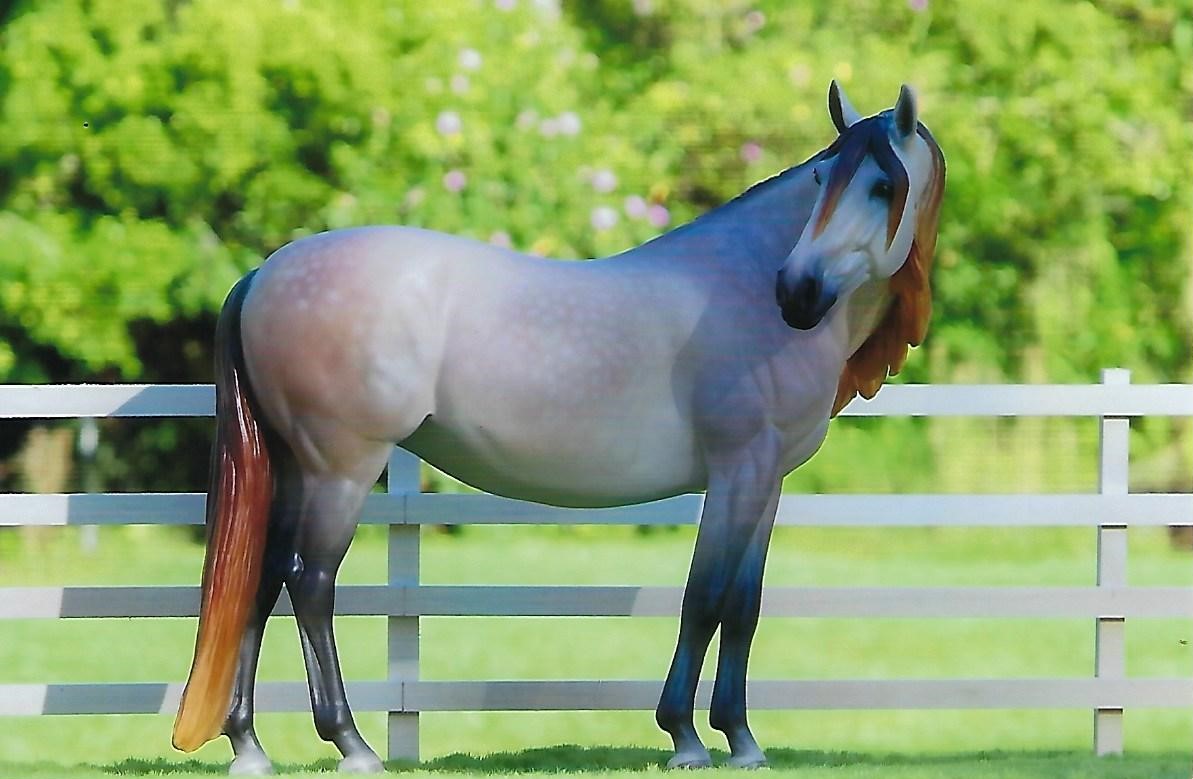 2024 MEPSA Spanish/Gaited Breed Reserve Champion