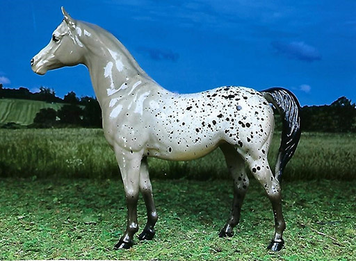 2025 MEPSA Collectability Grand Champion - Gem owned by Janet Cary