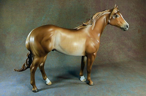 2025 MEPSA Color Grand Champion - KD10 Hornburg owned by Leitha McCullough