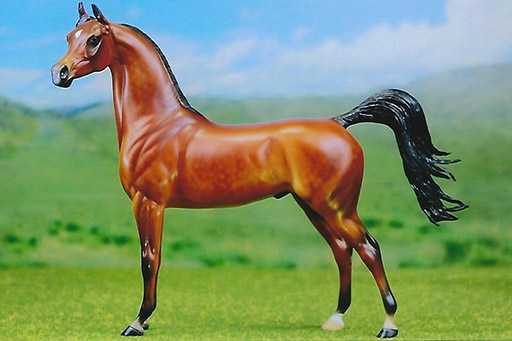 2025 MEPSA Color Reserve Grand Champion - Oran Gold owned by Stefanie Evans