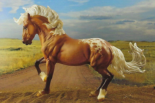 2025 MEPSA Gender Grand Champion, Other Breed Reserve Grand Champion - Dragon Heartstring owned by Elizabeth Jones