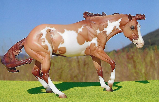 2025 MEPSA Gender Reserve Grand Champion, Stock Breed Reserve Grand Champion - Banzai Tulip owned by Ardith Carlton