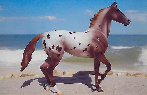 2025 MEPSA Light Breed Reserve Grand Champion - Snowpiercer owned by Marie Phillips