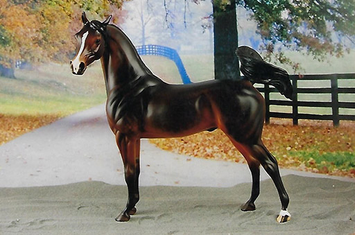 2025 MEPSA Light Breed Grand Champion - Atif owned by Elizabeth Jones