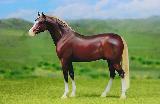 2025 MEPSA Pony Breed Grand Champion - Von Nibbles owned by Stefanie Evans