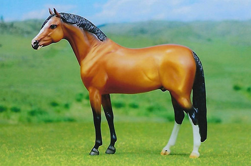 2025 MEPSA Pony Breed Reserve Grand Champion - Dusted Nik owned by Stefanie Evans