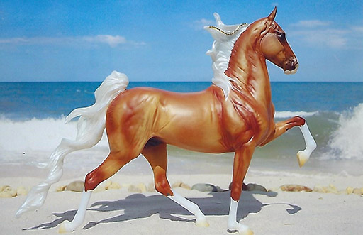 2025 MEPSA Spanish Breed Grand Champion - Viking Dancer owned by Marie Phillips