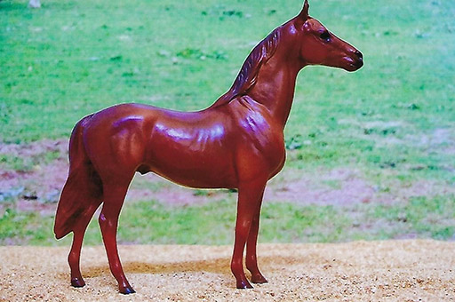 2025 MEPSA Sport Breed Reserve Grand Champion - Ginger Punch owned by Allison Malone