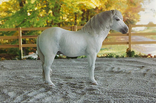 2025 MEPSA Color Grand Champion - Barney owned by Tonjia Clark