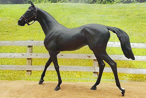 2025 MEPSA Sport Breed Reserve Grand Champion - Rebelle owned by Beth Wetzel