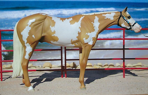 2025 MEPSA Stock Breed Grand Champion - Grassland Secretariat owned by Marie Phillips