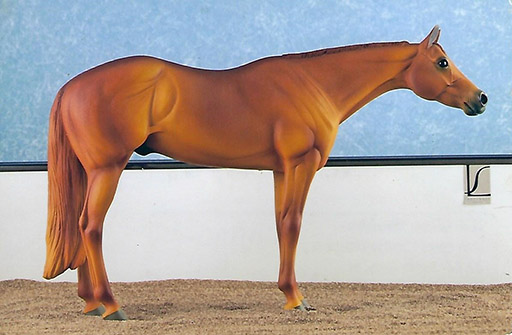 2025 MEPSA Stock Breed Reserve Grand Champion - Ruger owned by Cathy Hagen