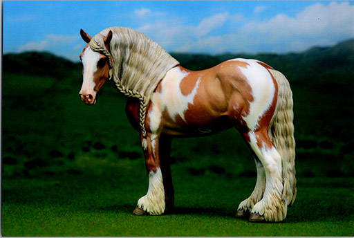 2025 MEPSA Judge's Choice, Draft Breed Grand Champion, Color Reserve Grand Champion - Sunset Pearl owned by Stefanie Evans