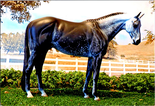 2025 MEPSA Gender Grand Champion - Supernatural owned by Betty Hook