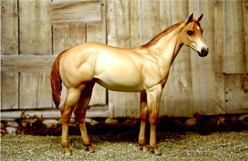 2025 MEPSA Gender Reserve Grand Champion, Stock Breed Grand Champion - JTIA Pocolena Popper owned by Joan Yount