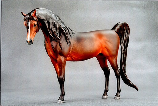 2025 MEPSA Light Breed Reserve Grand Champion - Hamama Sala Miyah owned by Betty Hook