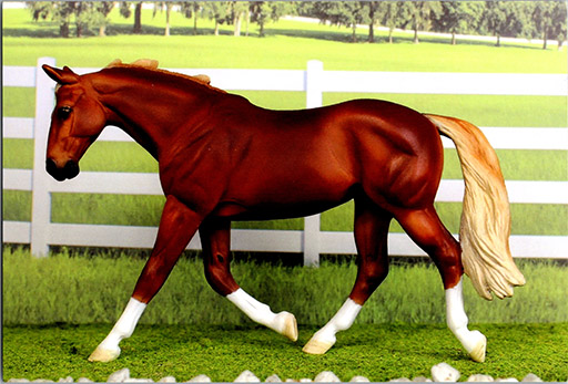 2025 MEPSA Pony Breed Grand Champion - Elusive Enchantment owned by Alyssa Bailey