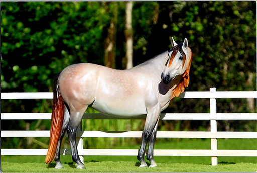2025 MEPSA Spanish/Gaited Breed Reserve Grand Champion - Cloud Nine owned by Jennifer Cole