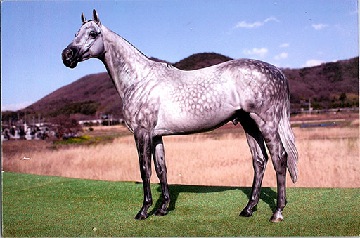 2025 MEPSA Sport Breed Grand Champion, Workmanship Grand Champion - Reverse Polarity owned by Ardith Carlton