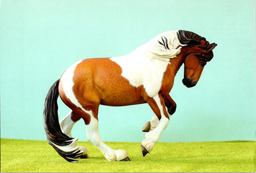 2025 MEPSA Sport Breed Reserve Grand Champion - Cloud Nine owned by Jennifer Cole