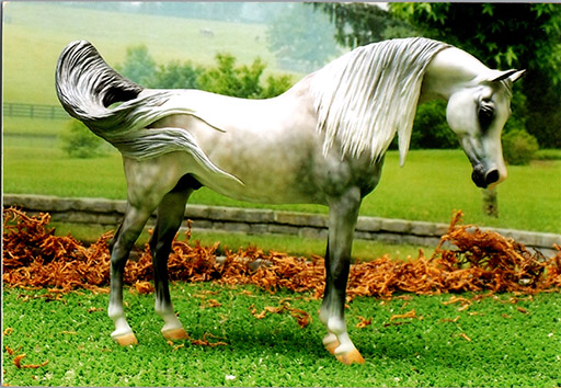 2025 MEPSA Workmanship Reserve Grand Champion - Tekebbur owned by Betty Hook