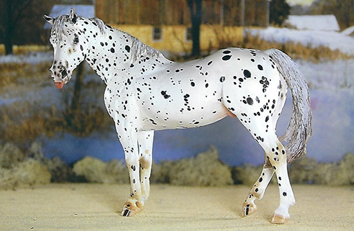 2025 MEPSA Judge's Choice, Gender Grand Champion, Pony Breed Grand Champion, Color Grand Champion, Workmanship Grand Champion - Dark Naoto owned by Ardith Carlton