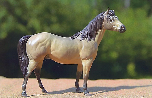 2025 MEPSA Other Breed Grand Champion - Mad Man Joe owned by Ardith Carlton