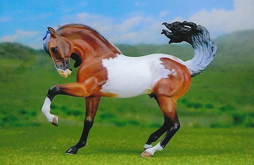 2025 MEPSA Spanish/Gaited Breed Grand Champion - Saphiro's Geode owned by Stefanie Evans