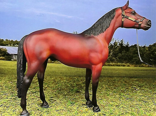 2025 MEPSA Sport Breed Grand Champion - Willy Winn owned by Janet Cary