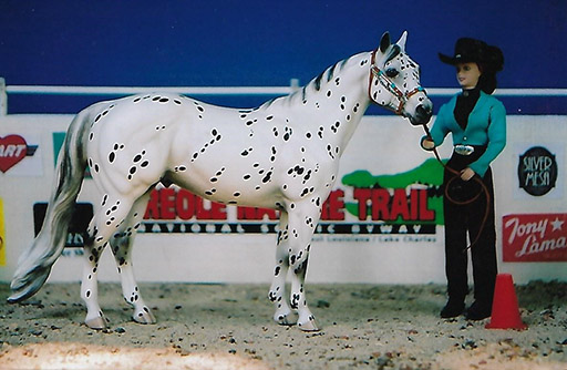 2025 MEPSA Stock Breed Grand Champion - A Moving Violation owned by Cindy Turner