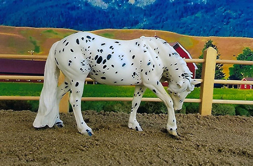 2025 MEPSA Workmanship Reserve Grand Champion - Miss Lily owned by Tonjia Clark