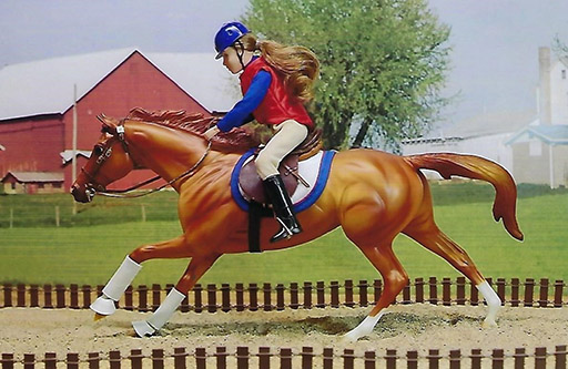 2025 MEPSA English Performance Grand Champion - Chrome Magnum owned by Alyssa Bailey