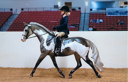 2025 MEPSA English Pleasure Grand Champion - Applejacks owned by Alyssa Bailey