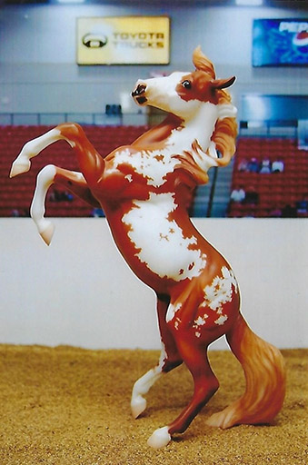 2025 MEPSA Other Performance Grand Champion - Viggo Mortenson owned by Alyssa Bailey