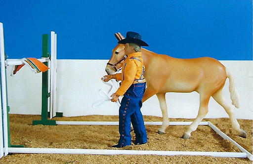 2025 MEPSA Other Performance Reserve Grand Champion - Georgia Peach owned by Carolyn Bailey