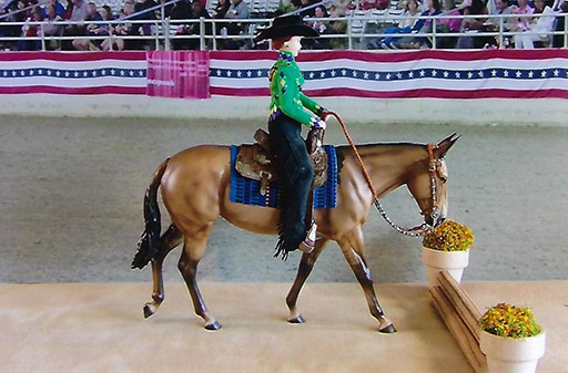 2025 MEPSA Western Pleasure Grand Champion - Secret Oath owned by Rhonda Chisholm