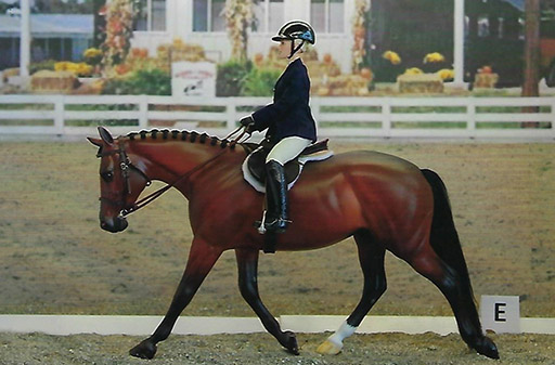 2025 MEPSA English Performance Grand Champion - JTIA Unforgettable owned by Joan Yount