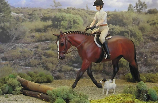 2025 MEPSA English Pleasure Grand Champion - JTIA Unforgettable owned by Joan Yount