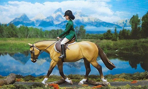 2025 MEPSA English Pleasure Reserve Grand Champion - Desert Mirage owned by Alyssa Bailey