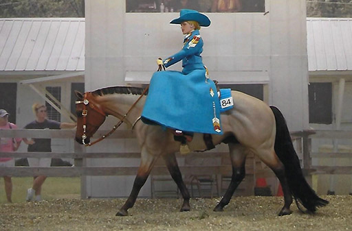 2025 MEPSA Other Performance Grand Champion - JTIA Rusty Bar Code owned by Joan Yount