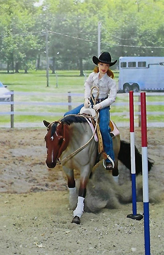 2025 MEPSA Western Performance Grand Champion - JTIA Rusty Bar Code owned by Joan Yount