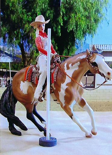 2025 MEPSA Western Performance Reserve Grand Champion - Hot Scotch Buck owned by Rhonda Chisholm