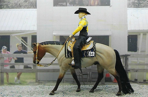 2025 MEPSA Western Pleasure Grand Champion - JTIA Bar Code owned by Joan Yount