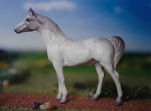 2025 MEPSA Collectability Grand Champion - Smoke N' Mirrors owned by Janet Cary