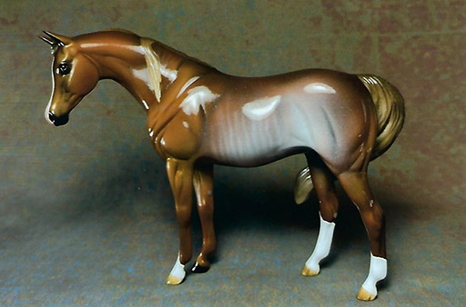 2025 MEPSA Color Grand Champion - KD10 Dust In The Wind owned by Leitha McCullough