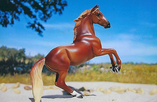 2025 MEPSA Color Reserve Grand Champion - Goshen owned by Marie Phillips